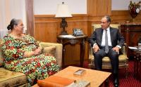 Egypt, UN envoy discuss Libya's political roadmap, elections