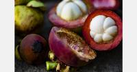 Guatemalan mangosteen sets its sights on the European market