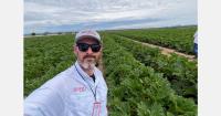Sonora vegetable season starts amid volatile weather and strong squash demand