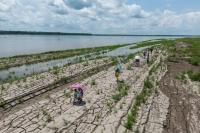 One in seven Latin American children threatened by El Niño: ‘This crisis can be mitigated’