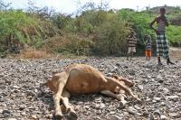 Evidence builds showing climate change could be intensifying El Niño events