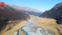 New Zealand returned 86 takahē to Rees Valley; the birds are now breeding and establishing a new wild population