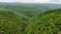 From Purcellville to West Virginia 