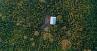 Investors back Cotierra’s bid to scale biochar across tropical agriculture
