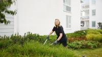 Gardeners should do 1 task to their lawn before late autumn for healthy, green grass