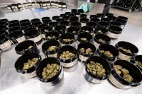 Virginia’s first look at a cannabis retail market