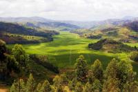 Rwanda's Sorwathe wins top honours at North American Gold Medal Tea Competition