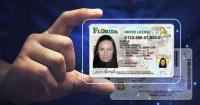 Florida driver's licenses, identification cards get a new look