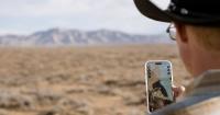 Smart ranch tech cuts costs, boosts cattle health