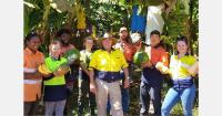 Darwin banana grower highlights role of local market in farm recovery