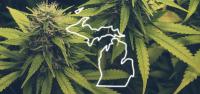 Michigan Revokes 20 Medical Cannabis Cultivation Licenses From Grower