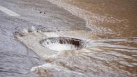Chicago-area asked to delay showers, use less water amid heavy rain, flooding