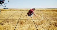 Four emerging opportunities set to shape the next wave of agricultural innovation