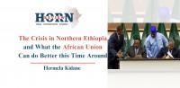 The Crisis in Northern Ethiopia and What the African Union Can do Better this Time Around