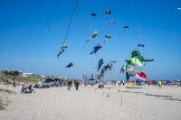 Get Carried Away at Surf City’s International Kite Festival