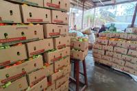 Opinion | Africa's second generation of produce exporters is redrawing the map