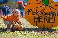 Pumpkin Adventure returns to Mississippi Agriculture and Forestry Museum