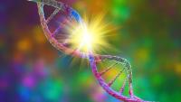 Stem Cell Engraftment May Open New Opportunities for CF, PCD