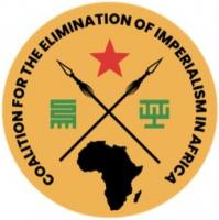 CEIA Launches International Pan-African Solidarity Campaign for the Republic