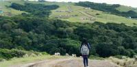 Biokineticists fight disease using exercise science: how to bring their skills to rural patients