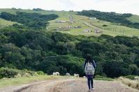 Biokineticists fight disease using exercise science: how to ...