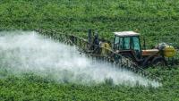 Misiones modifies the regulation on glyphosate use and reopens the debate on production, health, and environment