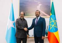 Somalia’s president Hassan Sheikh turns to Ethiopia, Djibouti and Egypt as Baidoa crisis tests regional alliances