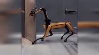 ICE adds fleet of Boston Dynamics robot dogs