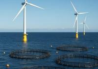 Why the Blue Economy's Evolution Must Be Measured