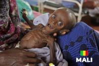 Mali’s deepening crisis: 9.7 million poor and 1.56 million facing acute hunger