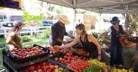 New six-month program aims to help North Fork Valley small businesses grow