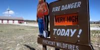 Ford’s Jim Farley says Gen Z needs its own ‘Smokey Bear’ moment for the forest fire of AI paranoia, the jobs apocalypse and the skilled trades