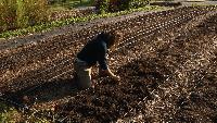 Baltimore nonprofit turns vacant lots into urban farms to feed communities