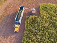 Gov. Sanders Suspends Dyed Diesel Penalties for Arkansas Farmers and Loggers Amid High Fuel Costs