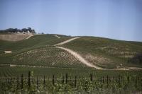 California’s hallmark economic sectors are confronting threats to their survival