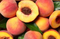 Australian nectarine and peach forecast down nine percent due to weather disruptions