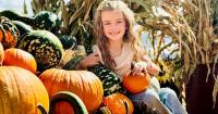 Fall fun and Halloween haunts offer thrills across Utah in 2026