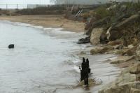 Evanston’s dog beach to close Dec. 1 as legal concerns over lack of accessibility mount