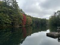 Drawdown of Dickerman Pond Scheduled