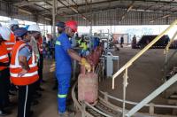 Cooking Gas Shortage: Cameroon Sets 200-Ton Daily Supply Target for Yaounde
