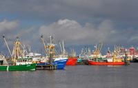 National and regional partnership plans set to become key component of future EU fisheries policy