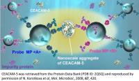 Laser tech detects colorectal cancer biomarker in minutes