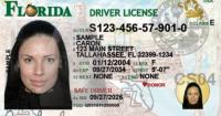 Florida introduces new driver's licenses: what's changing and what will happen to citizenship information
