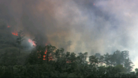 Fire grows to 200 acres in Lake County; public asked to avoid the area