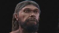 Scientists Approximate Face of 315,000-Year-Old Human