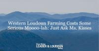 Western Loudoun Farming Costs Some Serious Moooo-lah: Just Ask Ms. Kisses