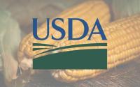 USDA Grain Stocks: Corn Tops All Trade Guesses