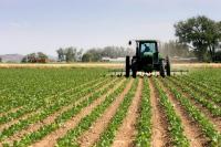 Morocco’s Agri-Food Sales to EU Reach €2.66 Billion by July 2026