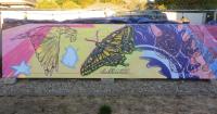 New Medford murals to celebrate wildlife and landscape