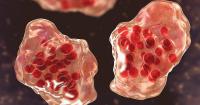 Pennsylvania hits more than 1,000 measles, making outbreak largest in U.S. in decades